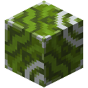 Green Glazed Terracotta
