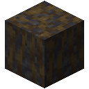 Muddy Mangrove Roots