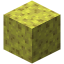Sponge