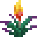 Torchflower